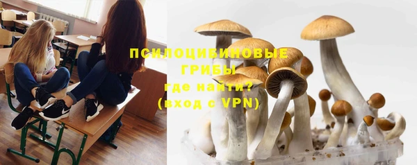 mdpv Няндома