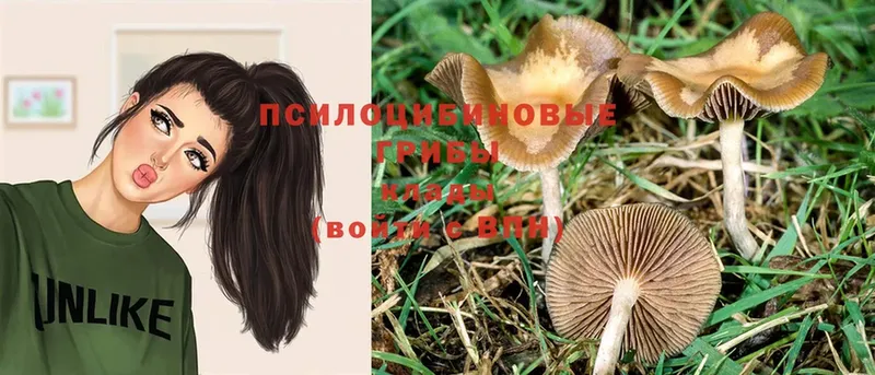 Галлюциногенные грибы Magic Shrooms  hydra ссылка  Лысково 